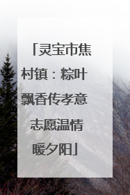 灵宝市焦村镇：粽叶飘香传孝意 志愿温情暖夕阳