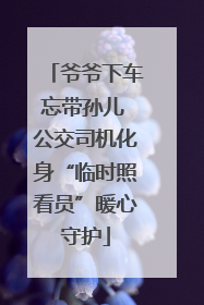 爷爷下车忘带孙儿 公交司机化身“临时照看员”暖心守护