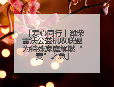 爱心同行丨潍柴雷沃公益机收联盟为特殊家庭解燃“麦”之急