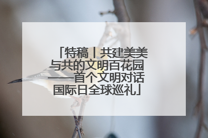 特稿丨共建美美与共的文明百花园——首个文明对话国际日全球巡礼