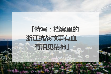 特写：档案里的浙江抗战故事有血有泪见精神