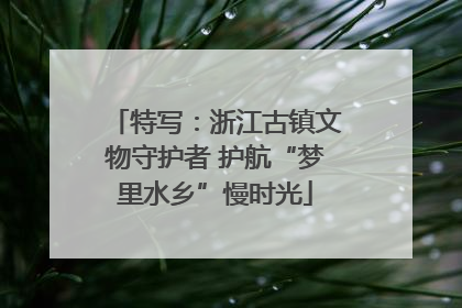 特写：浙江古镇文物守护者 护航“梦里水乡”慢时光