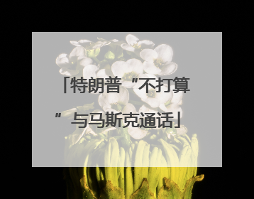 特朗普“不打算”与马斯克通话