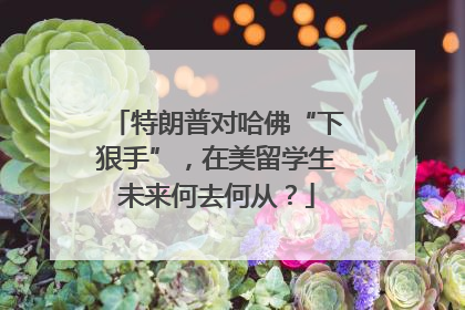 特朗普对哈佛“下狠手”，在美留学生未来何去何从？
