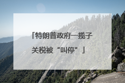 特朗普政府一揽子关税被“叫停”