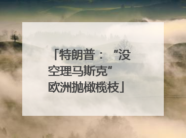 特朗普：“没空理马斯克” 欧洲抛橄榄枝