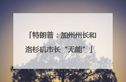 特朗普：加州州长和洛杉矶市长“无能”