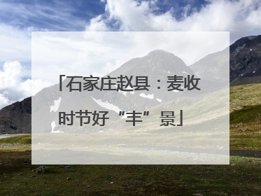石家庄赵县：麦收时节好“丰”景