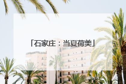 石家庄：当夏荷美