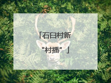 石臼村新“村播”