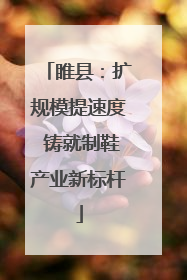 睢县：扩规模提速度 铸就制鞋产业新标杆