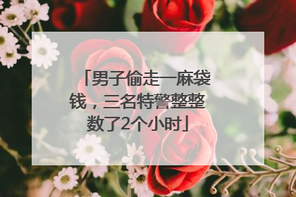 男子偷走一麻袋钱，三名特警整整数了2个小时