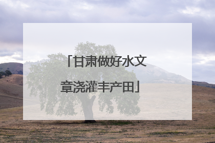 甘肃做好水文章浇灌丰产田
