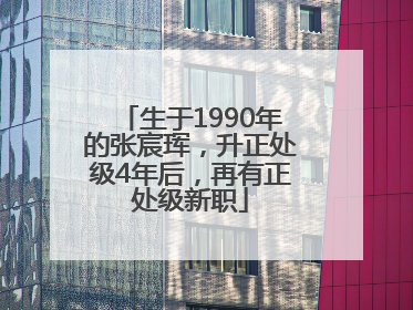 生于1990年的张宸珲，升正处级4年后，再有正处级新职