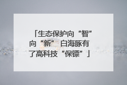 生态保护向“智”向“新” 白海豚有了高科技“保镖”