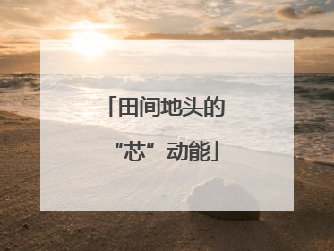 田间地头的“芯”动能