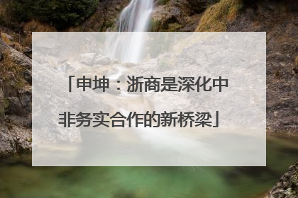 申坤：浙商是深化中非务实合作的新桥梁