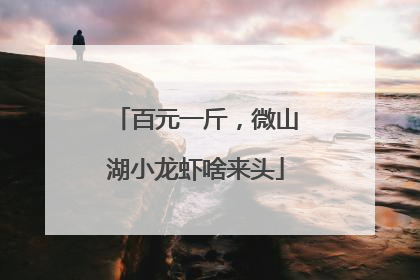 百元一斤，微山湖小龙虾啥来头