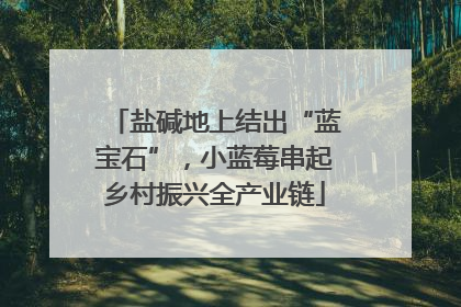 盐碱地上结出“蓝宝石”，小蓝莓串起乡村振兴全产业链