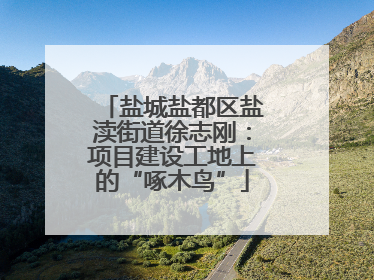 盐城盐都区盐渎街道徐志刚：项目建设工地上的“啄木鸟”