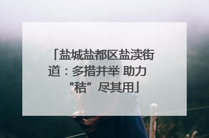 盐城盐都区盐渎街道：多措并举 助力“秸”尽其用