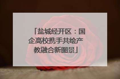 盐城经开区：国企高校携手共绘产教融合新图景