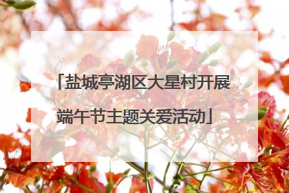 盐城亭湖区大星村开展端午节主题关爱活动