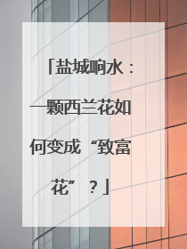 盐城响水：一颗西兰花如何变成“致富花”？