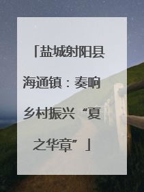 盐城射阳县海通镇：奏响乡村振兴“夏之华章”