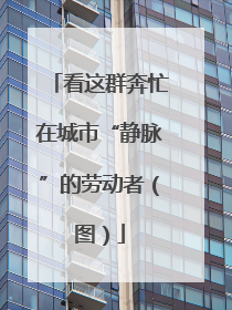 看这群奔忙在城市“静脉”的劳动者（图）