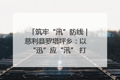 筑牢“汛”防线｜慈利县罗塔坪乡：以“迅”应“汛” 打赢暴雨防御战