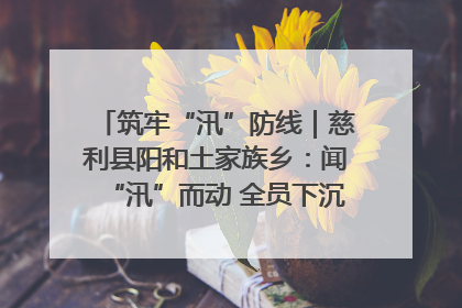 筑牢“汛”防线｜慈利县阳和土家族乡：闻“汛”而动 全员下沉筑牢防汛“安全堤”