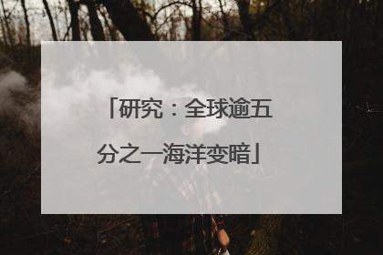 研究：全球逾五分之一海洋变暗