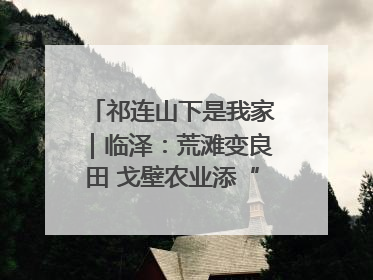 祁连山下是我家｜临泽：荒滩变良田 戈壁农业添“绿”生“金”