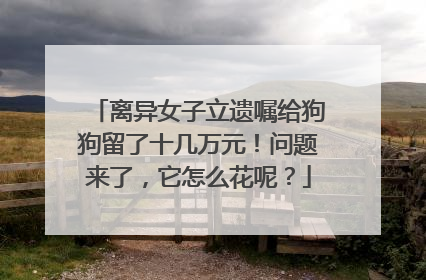 离异女子立遗嘱给狗狗留了十几万元！问题来了，它怎么花呢？