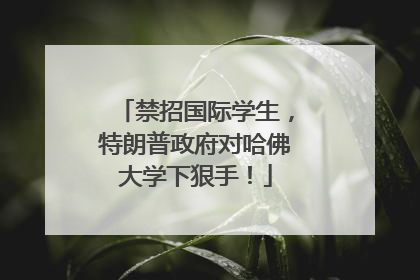 禁招国际学生，特朗普政府对哈佛大学下狠手！