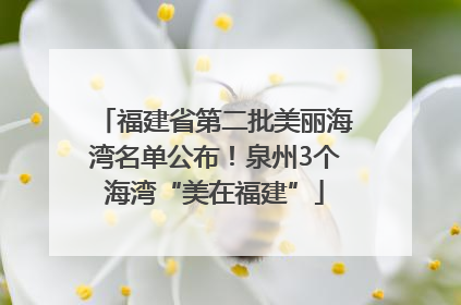 福建省第二批美丽海湾名单公布！泉州3个海湾“美在福建”