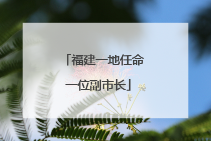 福建一地任命一位副市长