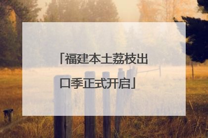 福建本土荔枝出口季正式开启