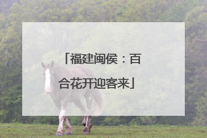 福建闽侯：百合花开迎客来