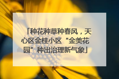 种花种草种春风，天心区金桂小区“金美花园”种出治理新气象
