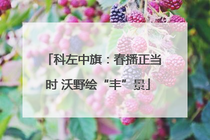 科左中旗：春播正当时 沃野绘“丰”景