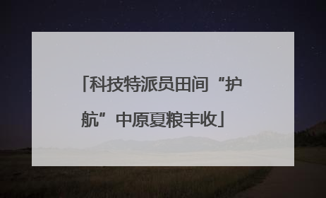 科技特派员田间“护航”中原夏粮丰收
