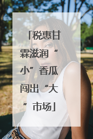 税惠甘霖滋润“小”香瓜闯出“大”市场