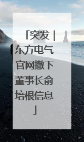 突发｜东方电气官网撤下董事长俞培根信息