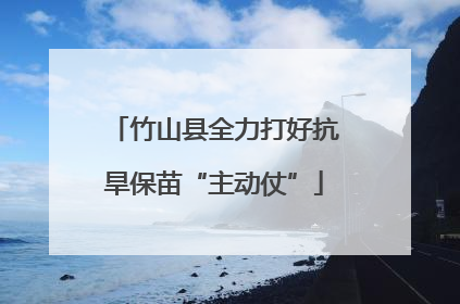 竹山县全力打好抗旱保苗“主动仗”