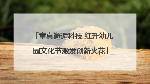 童真邂逅科技 红升幼儿园文化节激发创新火花