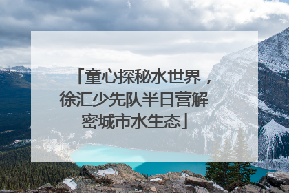 童心探秘水世界，徐汇少先队半日营解密城市水生态