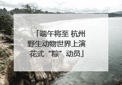 端午将至 杭州野生动物世界上演花式“粽”动员