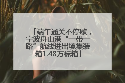 端午通关不停歇，宁波舟山港“一带一路”航线进出境集装箱1.48万标箱